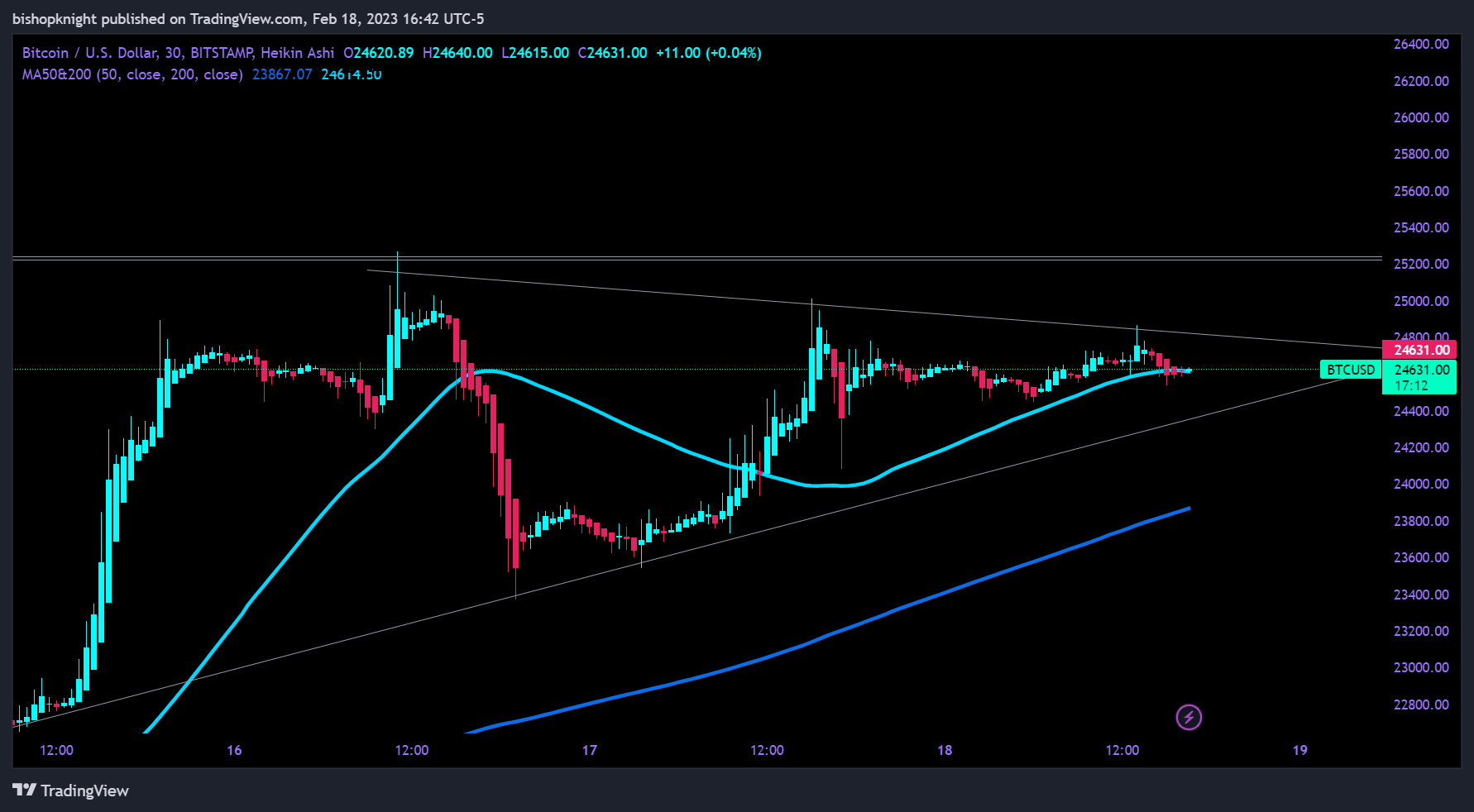 BITSTAMP:BTCUSD Chart Image by bishopknight