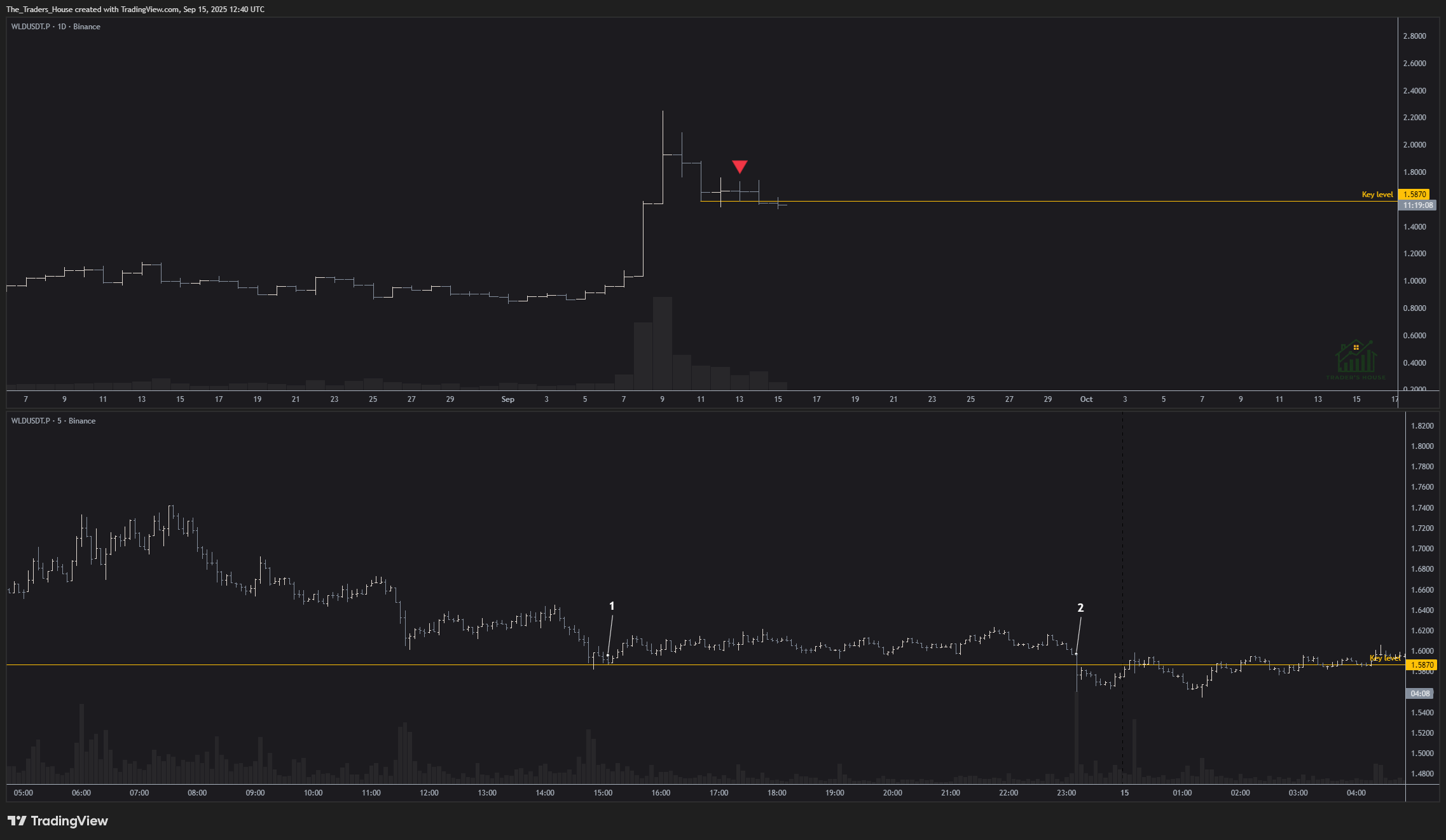 BINANCE:WLDUSDT.P Chart Image by The_Traders_House