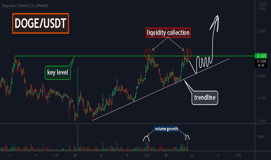 DOGE, WHALES are collecting liquidity for their LONGS!