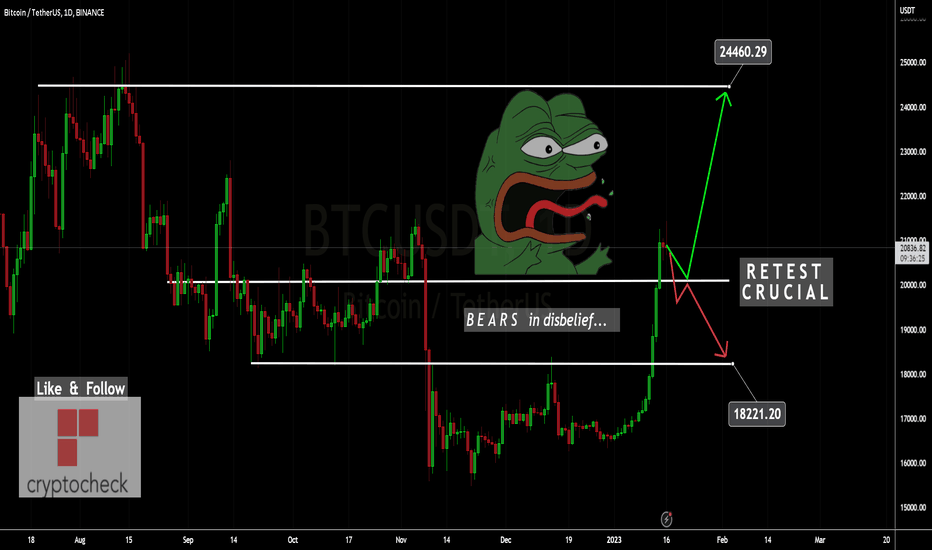 BTC Bears SLAUGHTERED, Will BULLS HODL $20K?