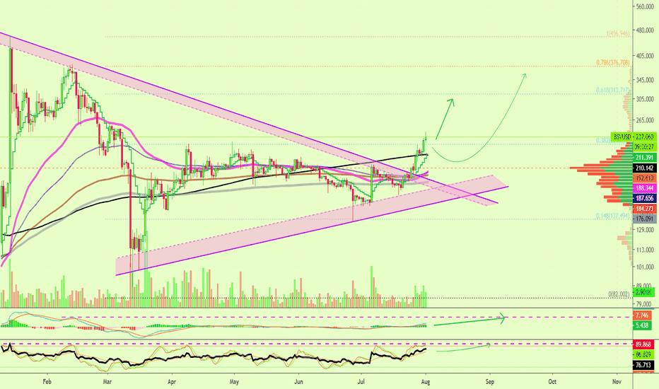 Bitcoin SV Potential Higher Is Very Real ($313, $376 or Higher)
