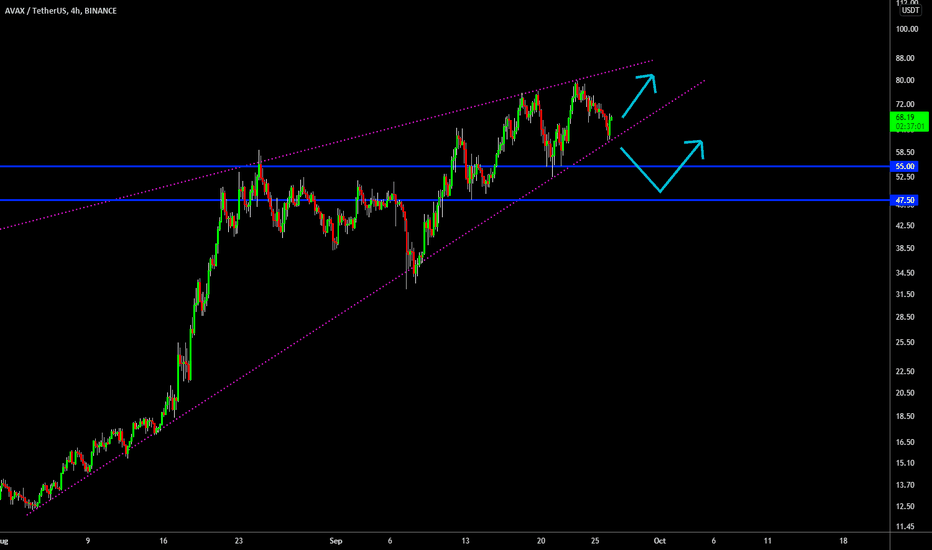 🔥 AVAX Rising Wedge: Potential Bearish Move Ahead