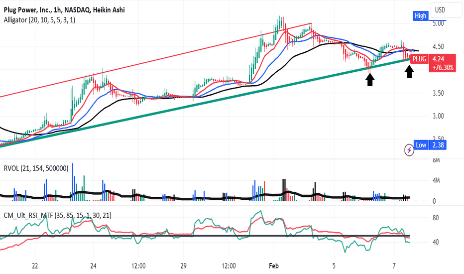 PLUG  set up on support for Long Entry