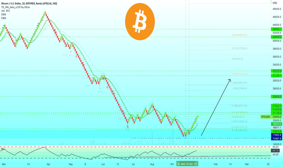 🅱️ Bitcoin Renko | Daily Timeframe, Buy Signal