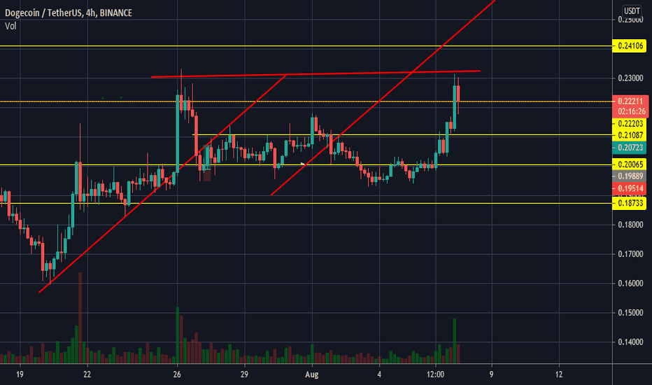 Doge is looking strong, Get ready