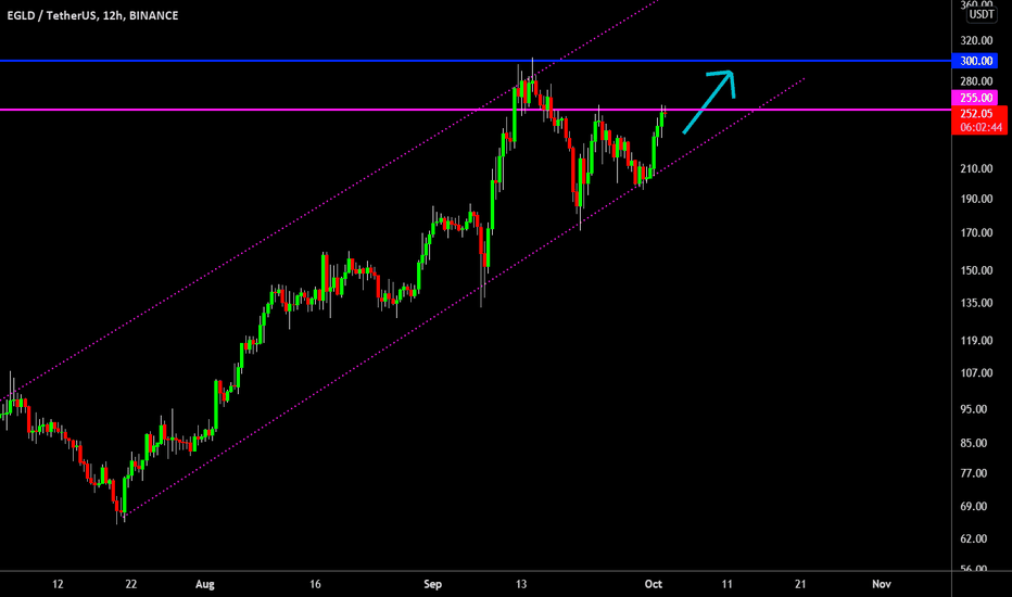 🔥 EGLD Bullish Channel Continued: P2