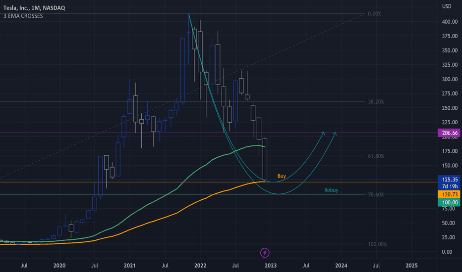 Tesla Local Bottom
