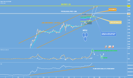 Ripple - The New Bitcoin - 3$