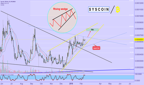 S Y S C O I N / BTC