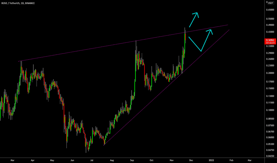 🔥 ROSE Facing Massive Resistance: Dump Or Break Out?
