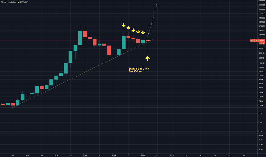 BTC Has Built a Rocket Ship