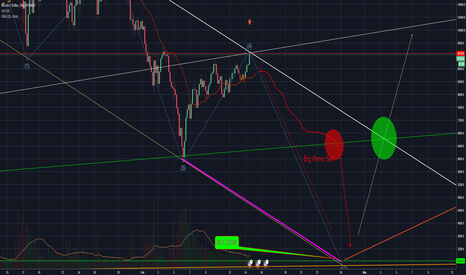 Very Short Trend BTC