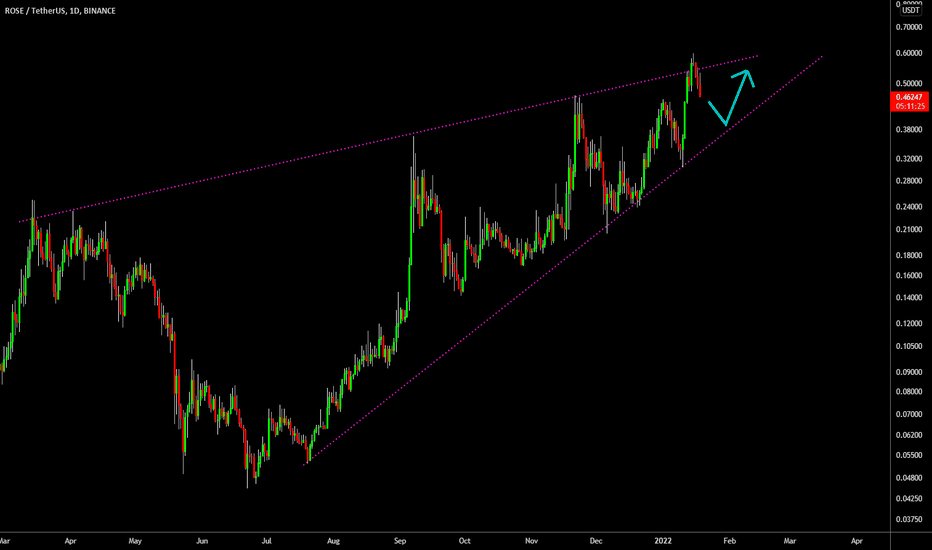 🔥 ROSE Reversing As Predicted: More Downside