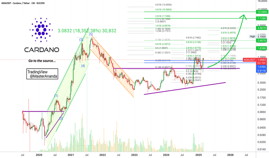 Cardano Long-Term: Crypto Strategic Reserve