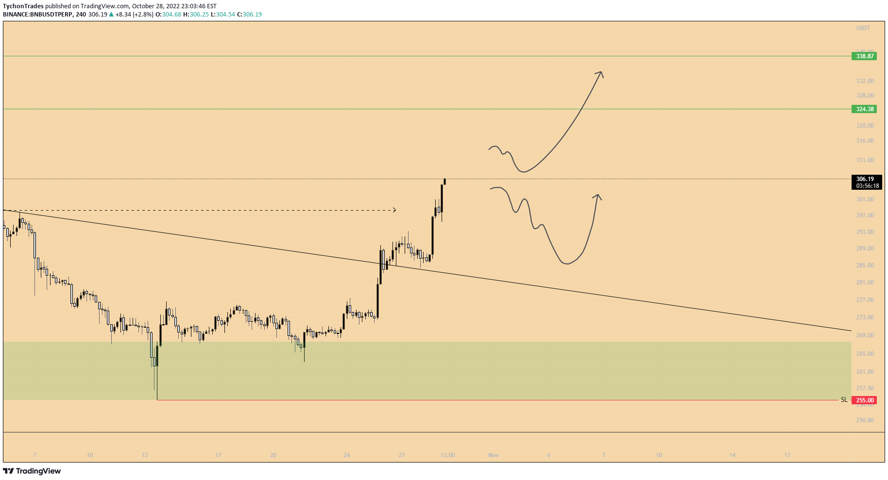 Immagine del grafico BINANCE:BNBUSDTPERP dell'idea di TychonTrades