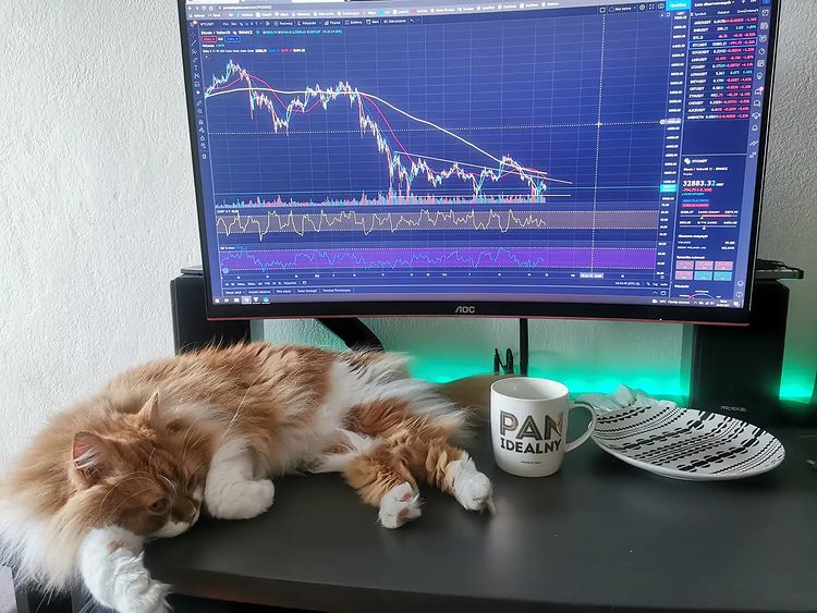 Imagem de cryptokitku