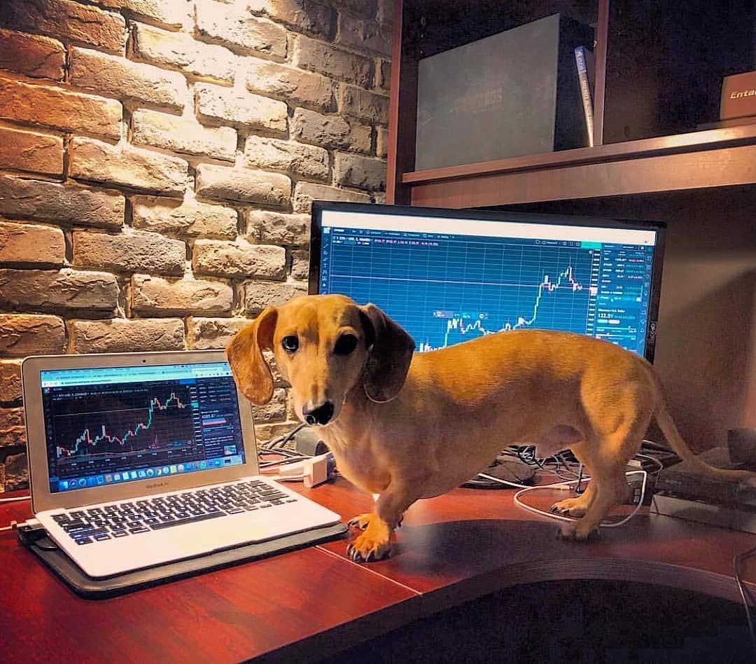 mytradingsetup's image