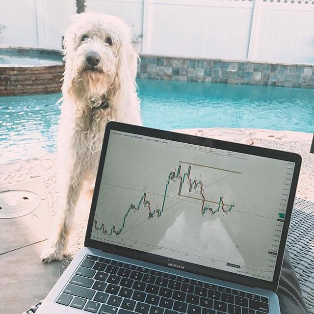 mytradingsetup's image
