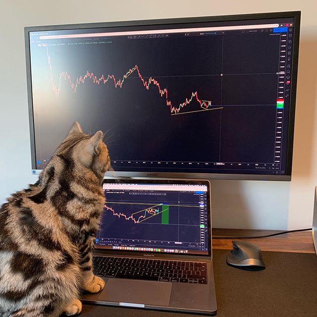 tighefx의 이미지