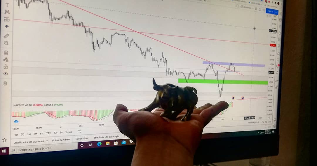 isra3l_vergara的圖片