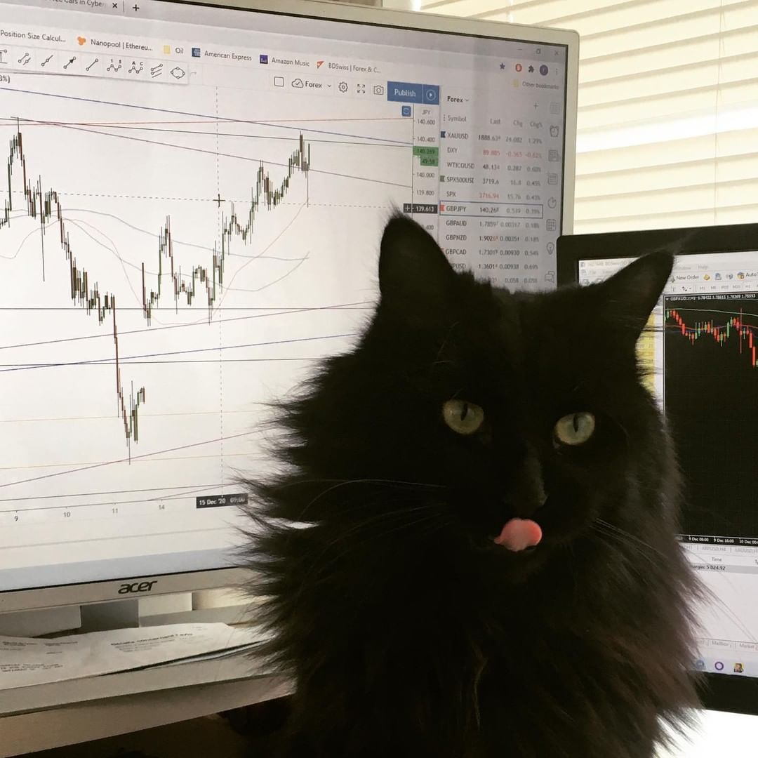 chuckindex's image