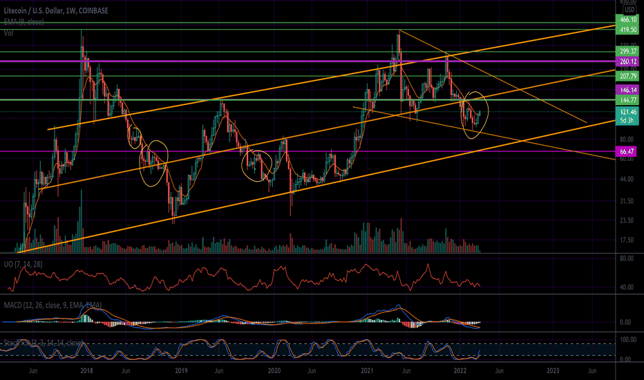 Will Litecoin Prove A Bear Market Rally? (LTC)