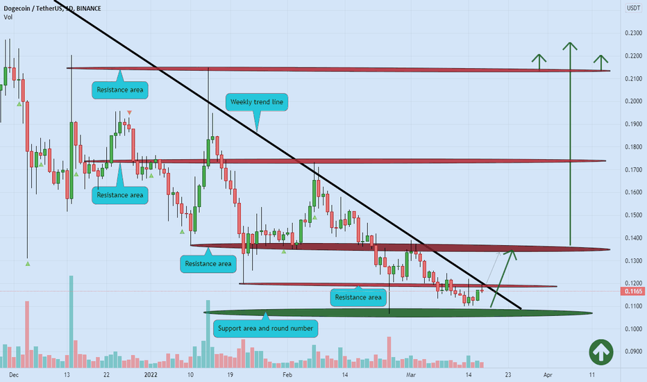 DOGE support zone ๐