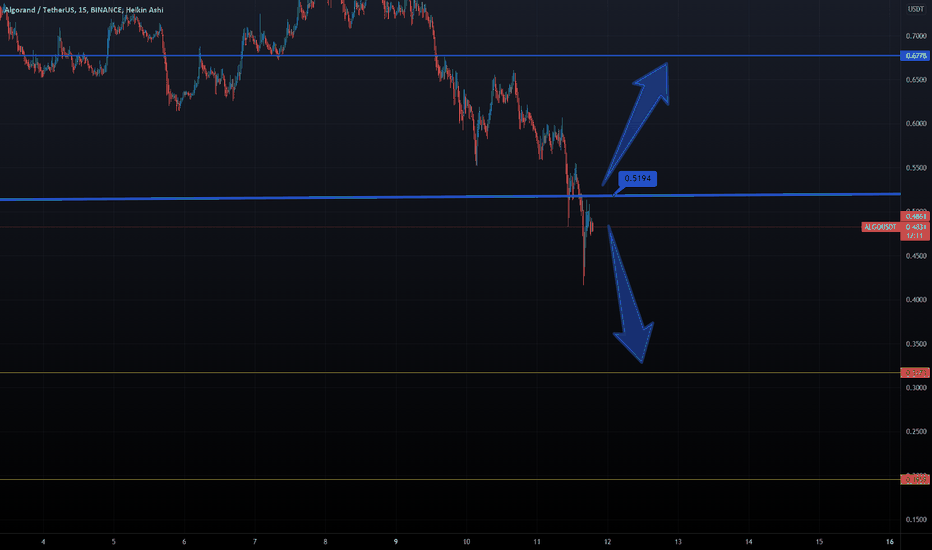 ALGORAND - 0,519 is MAJOR Resistance