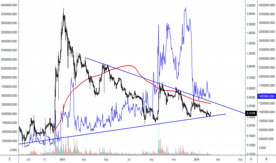 xrp will crash in coming weeks