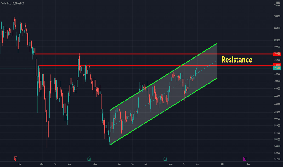 Tesla Option trade in September