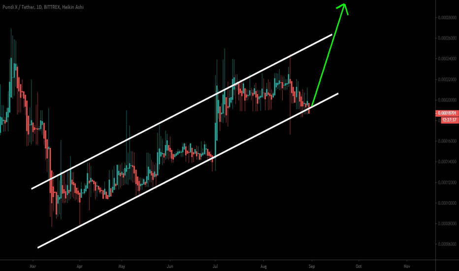 NPXSUSDT once again ready to move up from the support of channel
