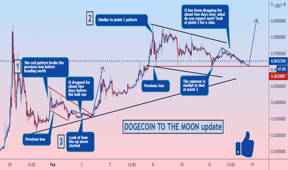 DOGECOIN Accurate Outlook
