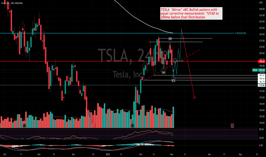 TSLA Bullish Distribution Pattern