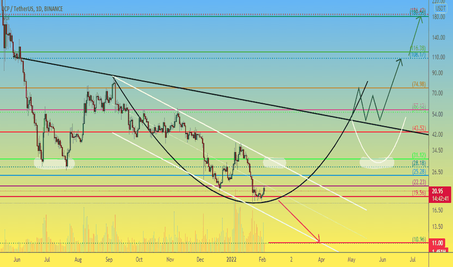 ICP forecast and possible price movements variants