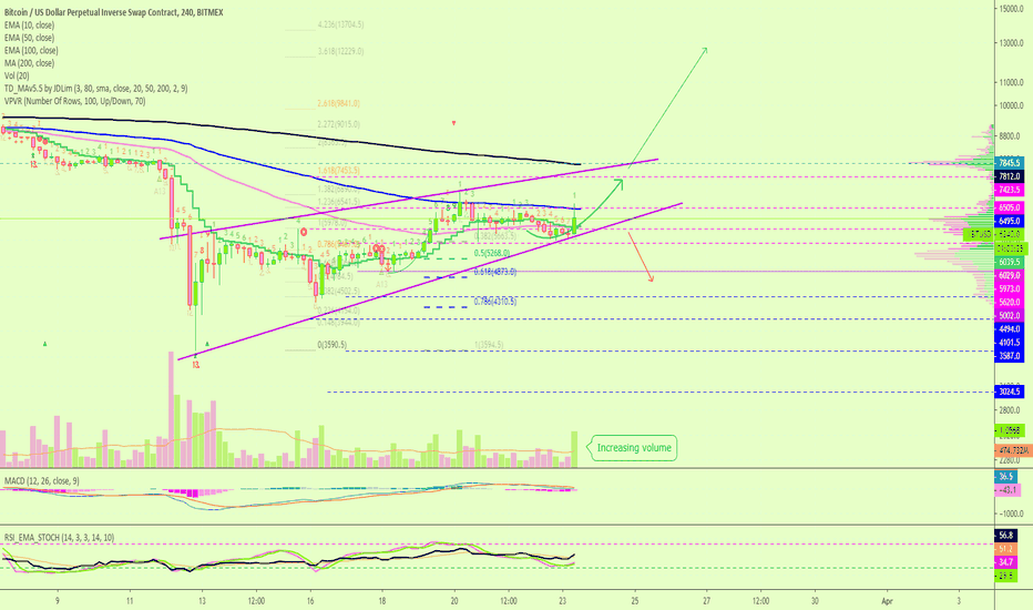 Bitcoin Volume Coming In, Which Price Come Next? $7800 or $4900?