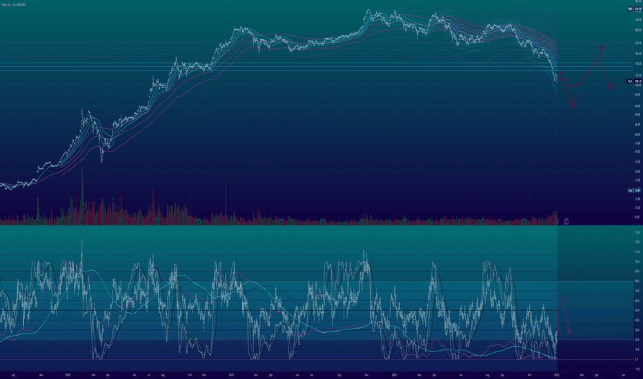 Tesla TSLA Daily