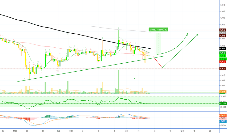 Bitcoin Cash (BCHH19) 88%+ ROE Possible on 10X Leverage