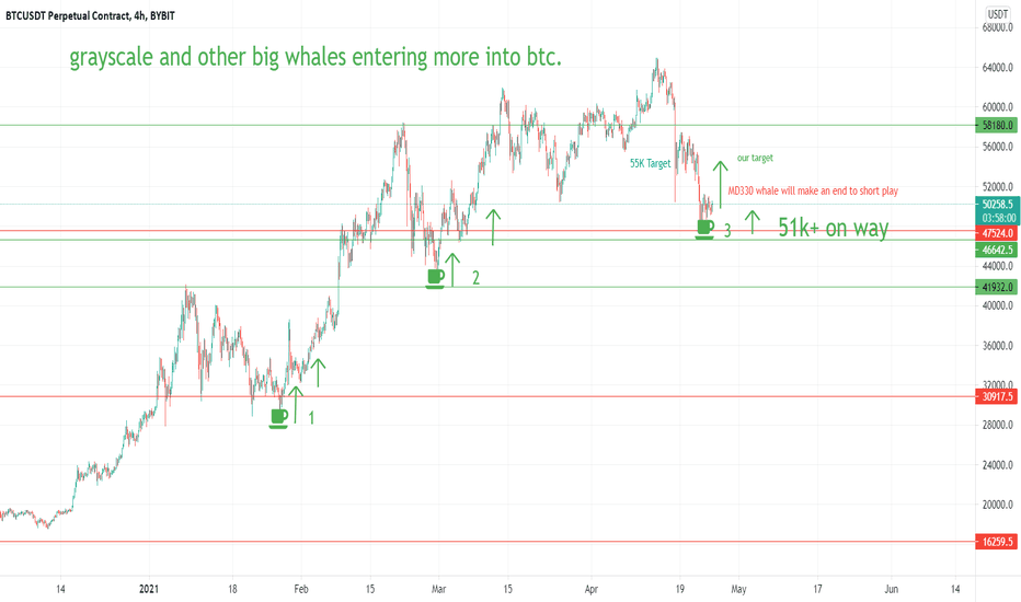 THE TOP OWNER WHALE ADD MORE - AND GRAYSCALE SHOWS GREEN 52k+