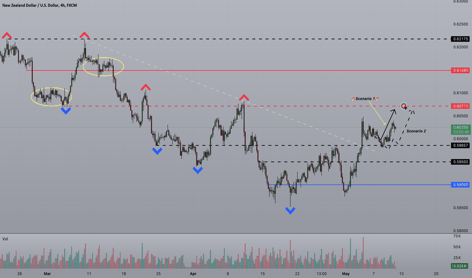 Strifor || NZDUSD-10/05/2024
