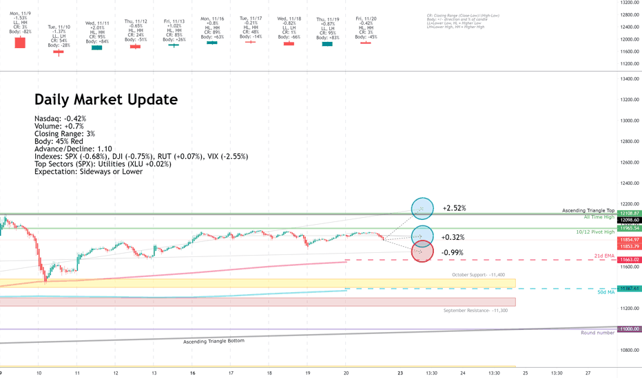 Daily Market Update for 11/20