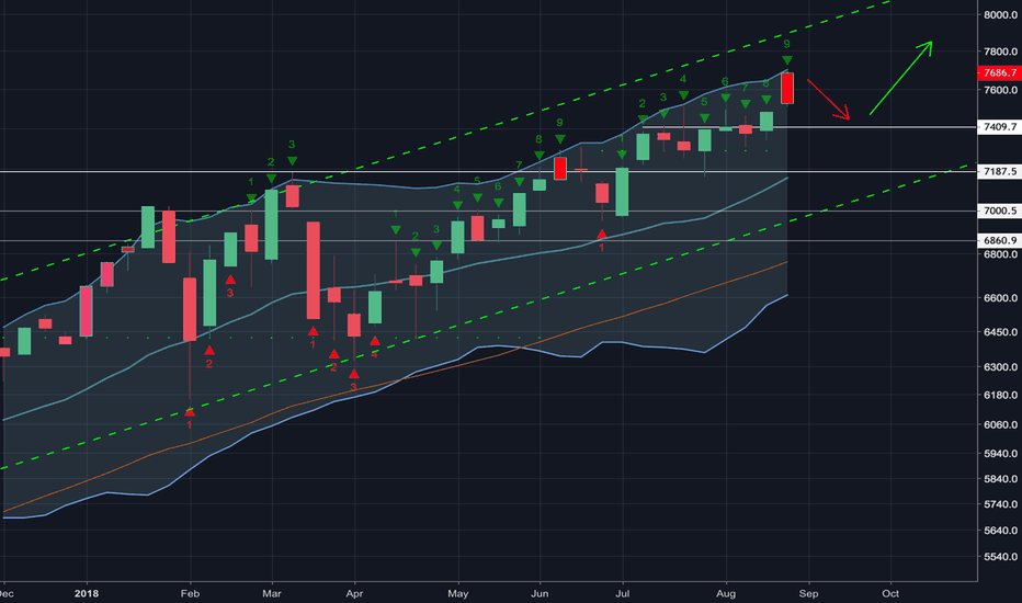 Weekly 9 Looking Over Extended