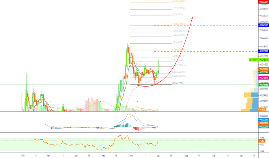 BitTorrent (BTTUSDT) Resumes Its Bull-Run vs Tether